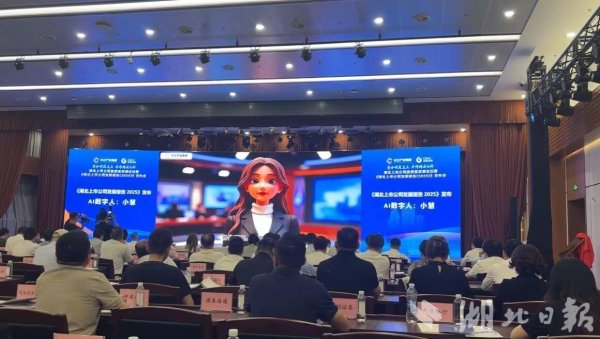 炒股网站 AI数字人揭晓湖北A股“成绩单”：2024年IPO募资居中部省份首位